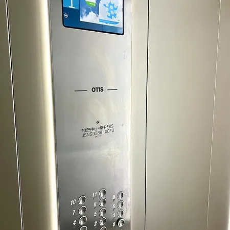 O Palomaya * Montpellier